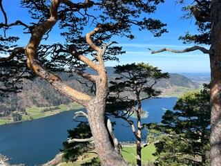 Holiday apartment Schliersee Environment 37