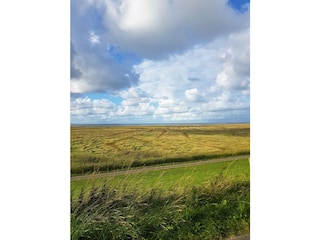 Die Küstenlandschaft lädt zu einer Radtour ein