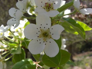 Appartamento per vacanze Barbian Ambiente 12