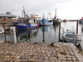 Fischerboote im Sassnitzer Hafen