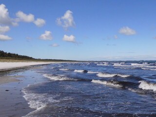 Endloser feinsandiger Naturstrand an der Schaabe