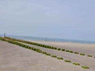 die Nordsee