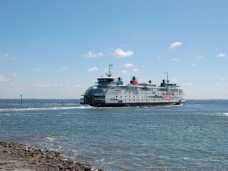 die Fähre nach Texel