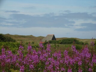 Casa per le vacanze De Koog Ambiente 16