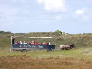 Casa per le vacanze De Koog Ambiente 17