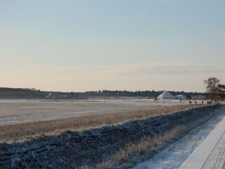 Casa per le vacanze De Koog Ambiente 19