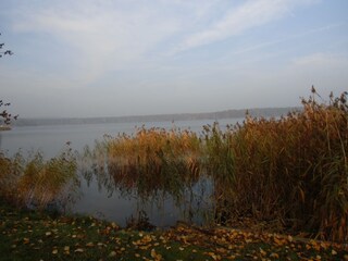 Herbst am Teupitzsee