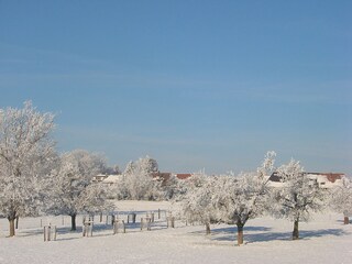 looking outside (winter)