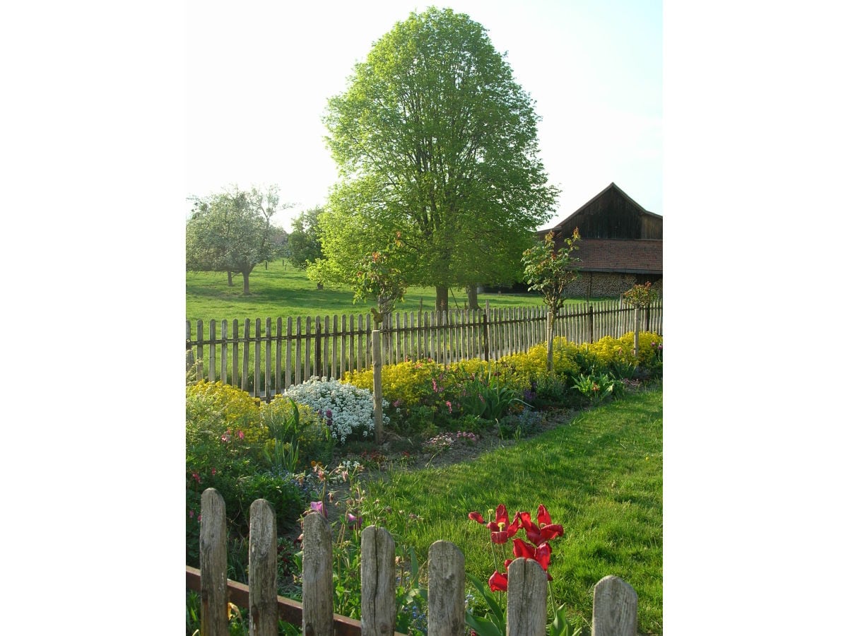 Blick in den Garten