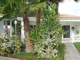 Villa Playa del Inglés Außenaufnahme 14