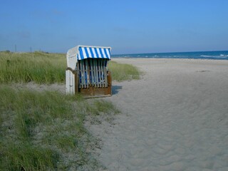 ..auch Strandkörbe können gemietet werden