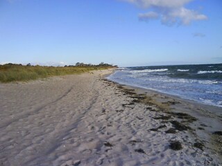 Beach in autumn