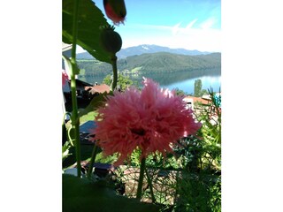 Appartamento per vacanze Millstatt Registrazione all'aperto 3