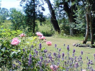 Holiday house Witzwort Outdoor Recording 5