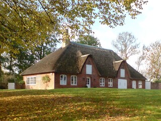 Exklusives Reetdachhaus in schöner Warftlage