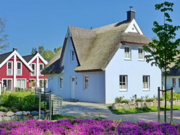 Ferienhaus Himmelblau