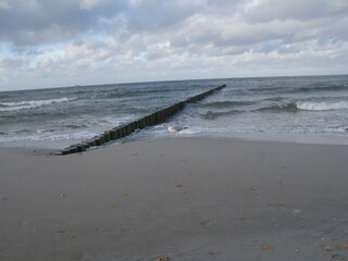 Frische Brise im Herbst