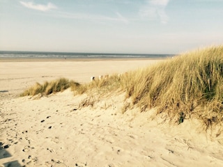 Naturstrand in Zingst