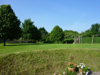 Rambling meadows