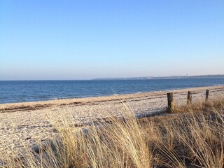 Hikers own the beach in the wintertime!