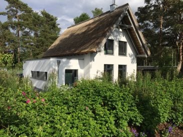 Ferienhaus Ostseetraum