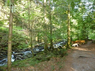 Casa de vacaciones Waldkirchen  13