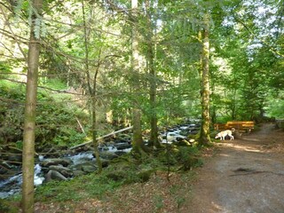 Vakantiehuis Waldkirchen  13