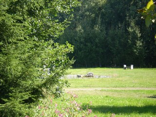 Maison de vacances Waldkirchen  15