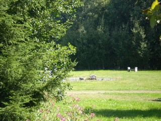 Vakantiehuis Waldkirchen Omgeving 14