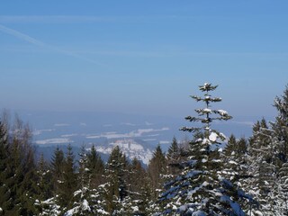 Casa per le vacanze Waldkirchen Ambiente 17