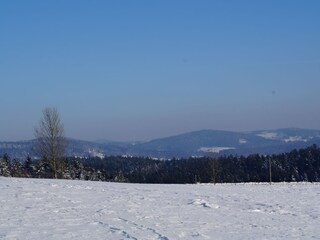 Maison de vacances Waldkirchen  18