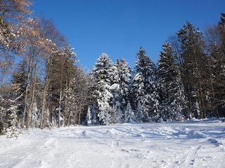 Casa de vacaciones Waldkirchen  19