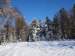 Vakantiehuis Waldkirchen  19