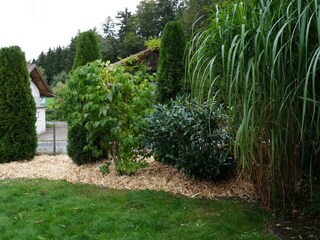 Vakantiehuis Waldkirchen Buitenaudio-opname 5