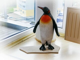 Ferienwohnung Sahlenburg Außenaufnahme 8