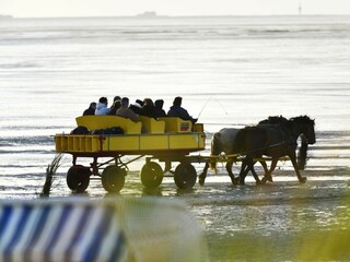 Ferienwohnung Sahlenburg Außenaufnahme 14