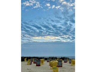 Holiday house Stickenbüttel Environment 30