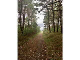 Holiday house Stickenbüttel Environment 34