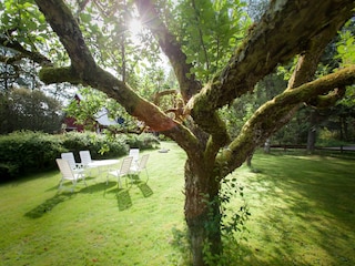 Blick auf den Garten