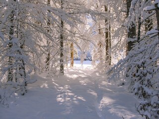 Vakantieappartement Lenggries Buitenaudio-opname 5