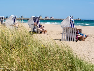 Ostseestrand Weidefeld