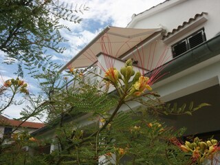 Appartamento Mali Maj Registrazione all'aperto 4