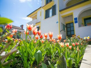 Appartement Porec Buitenaudio-opname 3