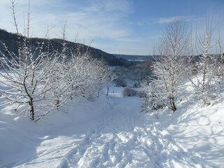 Maison de vacances Losheim am See  21