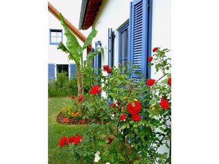 Maison de vacances Losheim am See Environnement 8