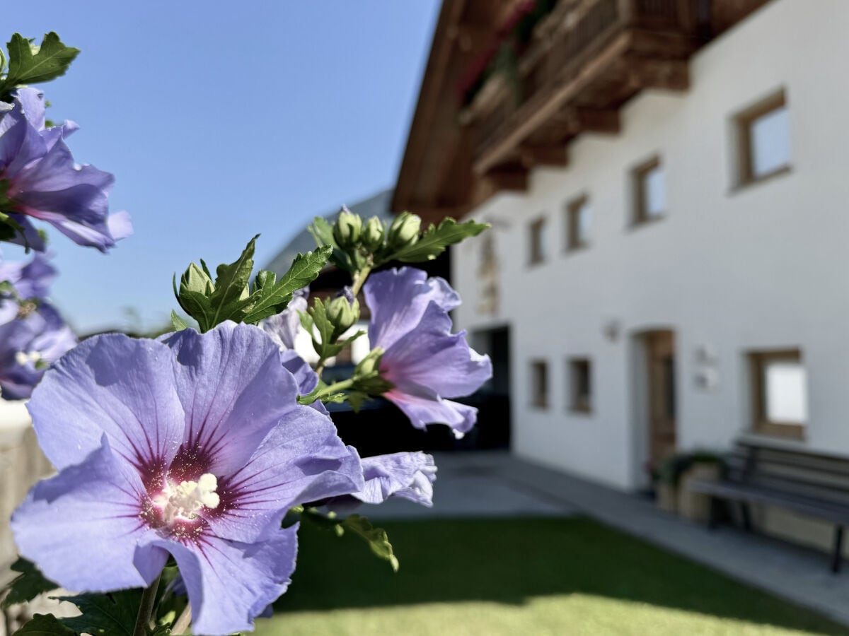 Landhaus Waldhart im Sommer