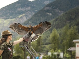 Appartamento Umhausen Ambiente 34