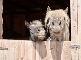 Appartamento Umhausen Ambiente 26