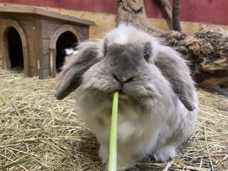 Appartamento Umhausen Ambiente 25