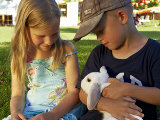 Appartamento per vacanze Flachau Ambiente 29